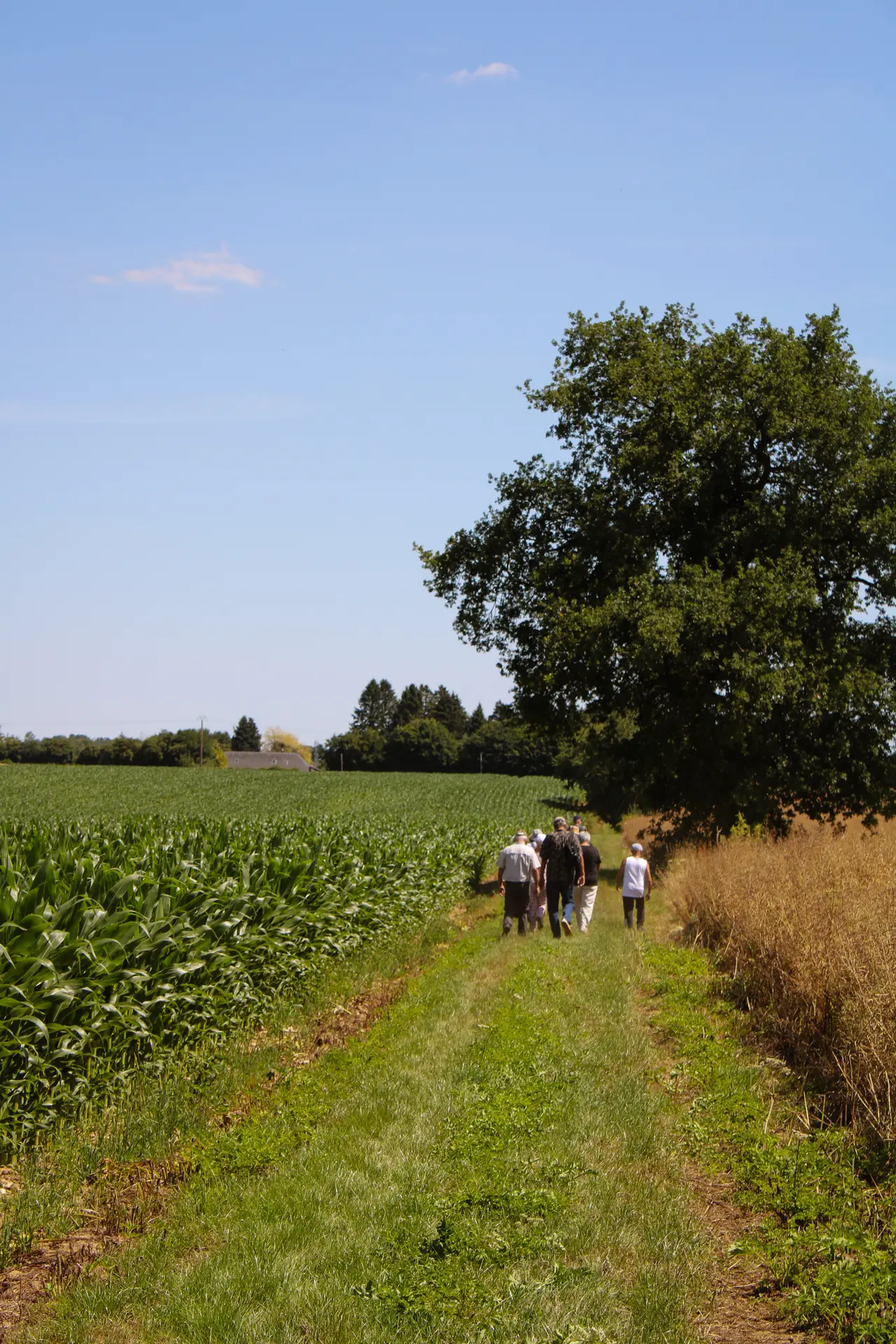Randonnée à Gaillefontaine