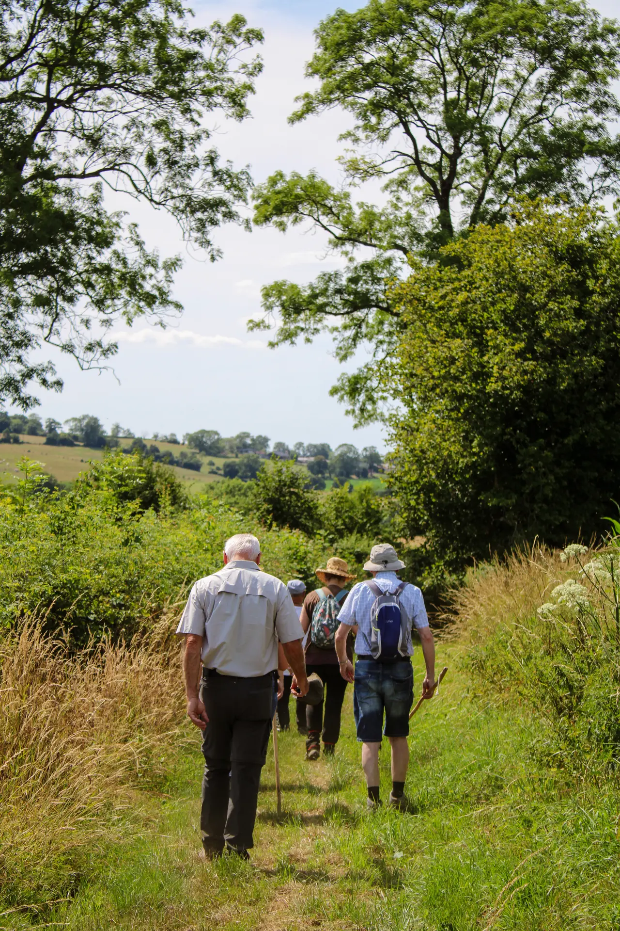 Randonnée accompagné Gaillefontaine