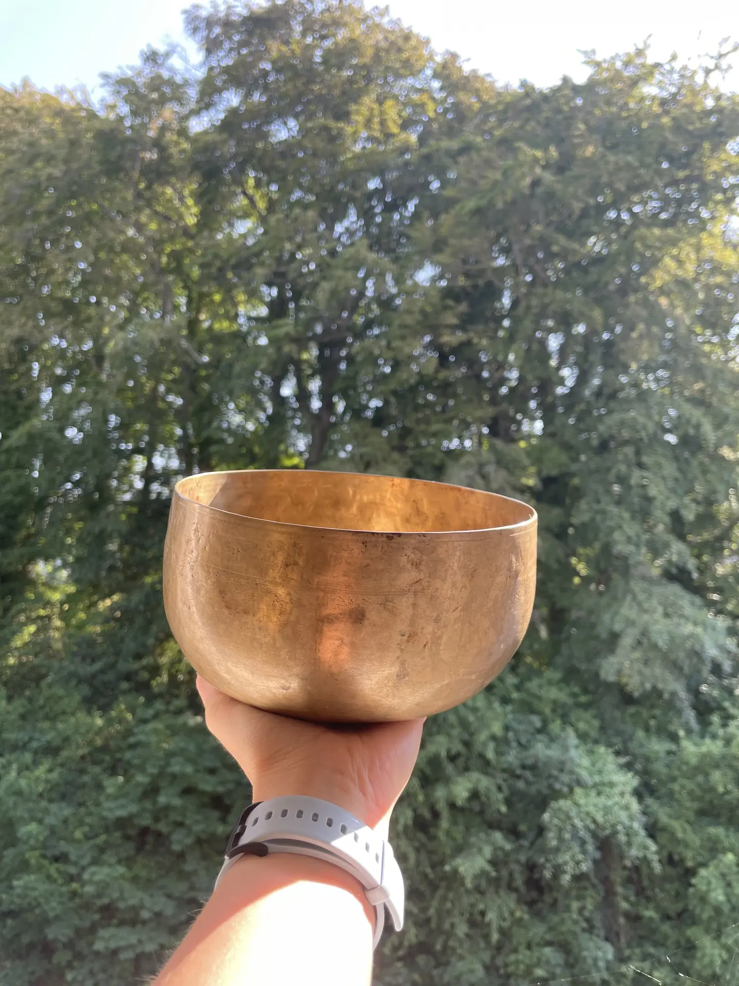 Naturopathie