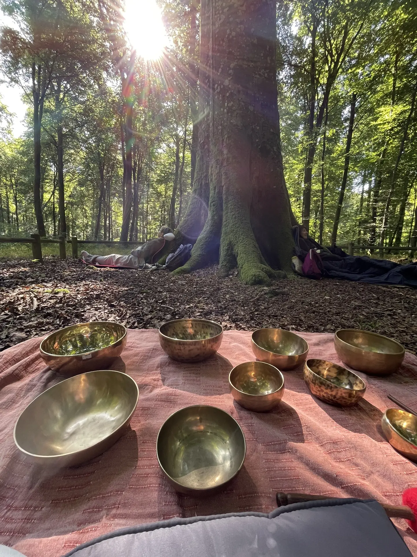 Naturopathie
