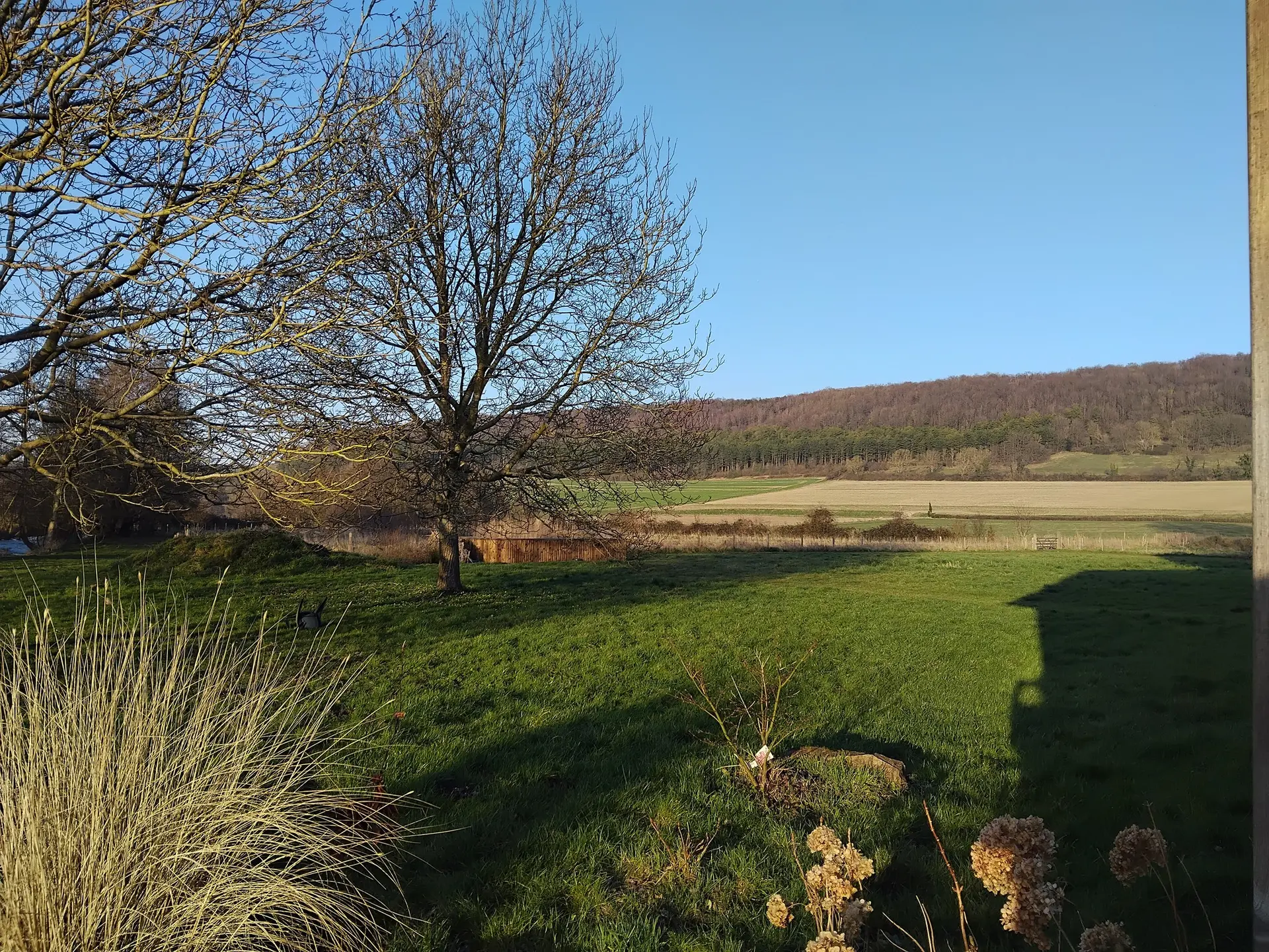 Jardin d'assainissement ©La Ferme du Pollet