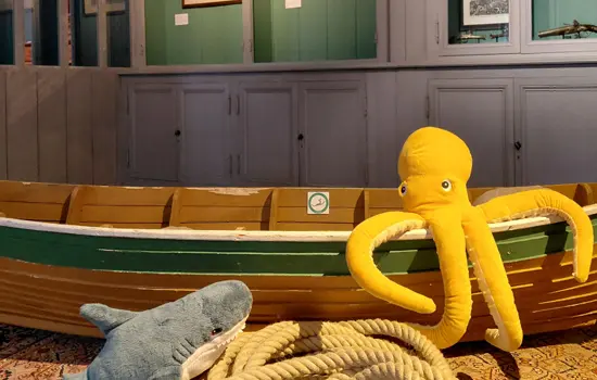 Visite toute douce pour attendre Noël