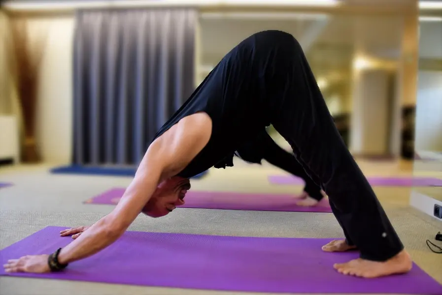 LOI_souffle albatre©marti-2025 (2)