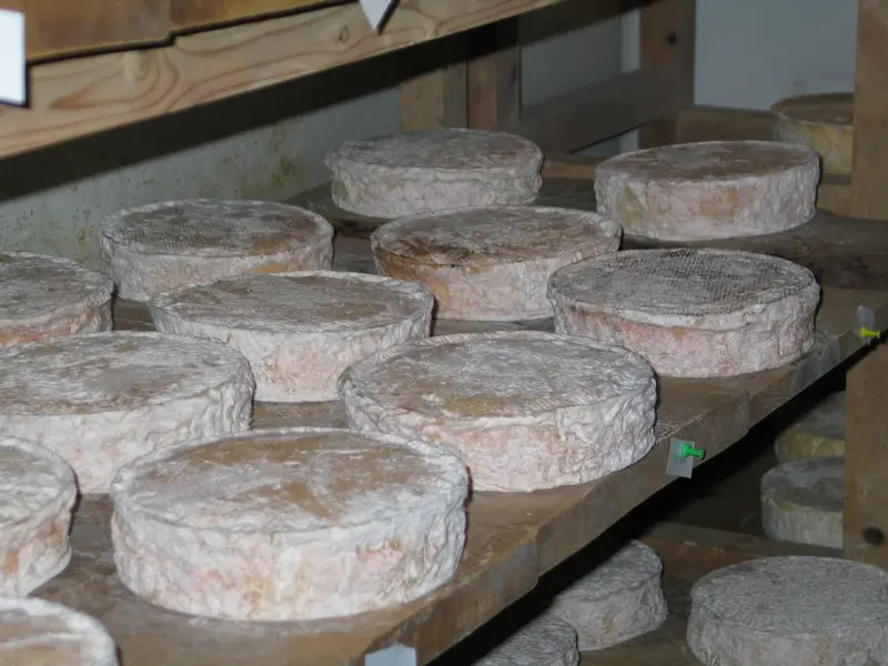 N00_saint-vaast-dieppedalle_pres-artemare©otpcm-2019.jpg (4)