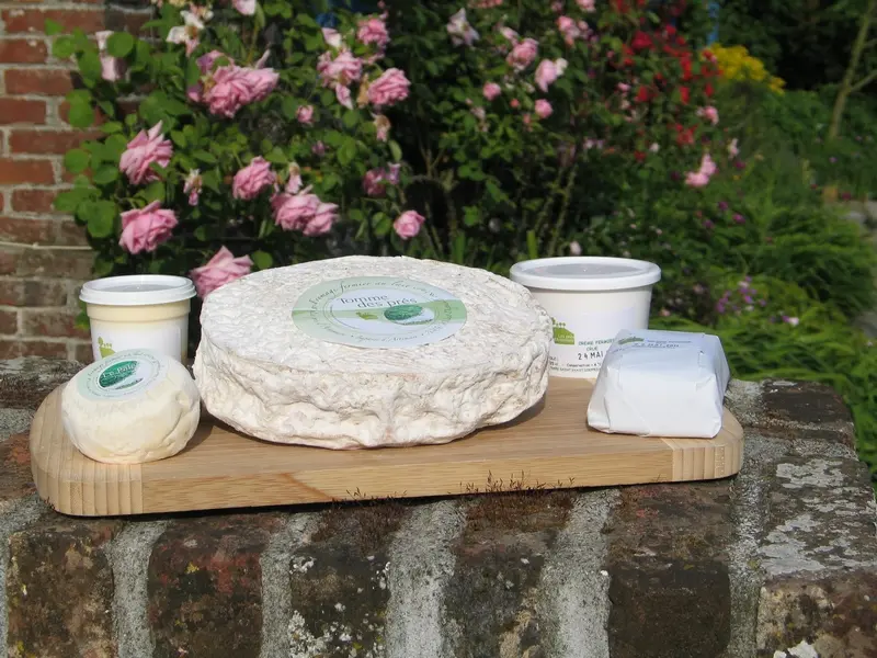 N00_saint-vaast-dieppedalle_pres-artemare©otpcm-2019.jpg (3)