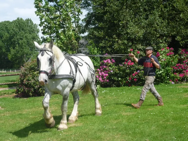 La Ferme Au fil des Saisons - Amfreville les Champs (4)