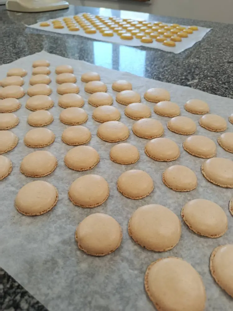 La forêt des macarons