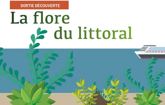 La Flore du littoral