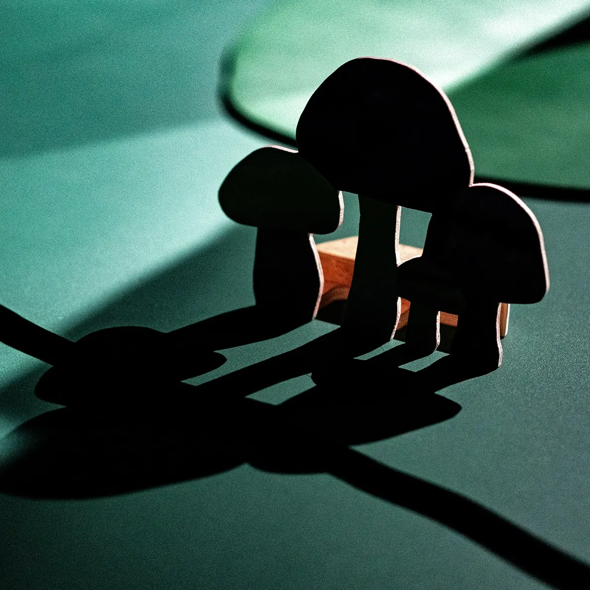 Le-Silence-des-champignons