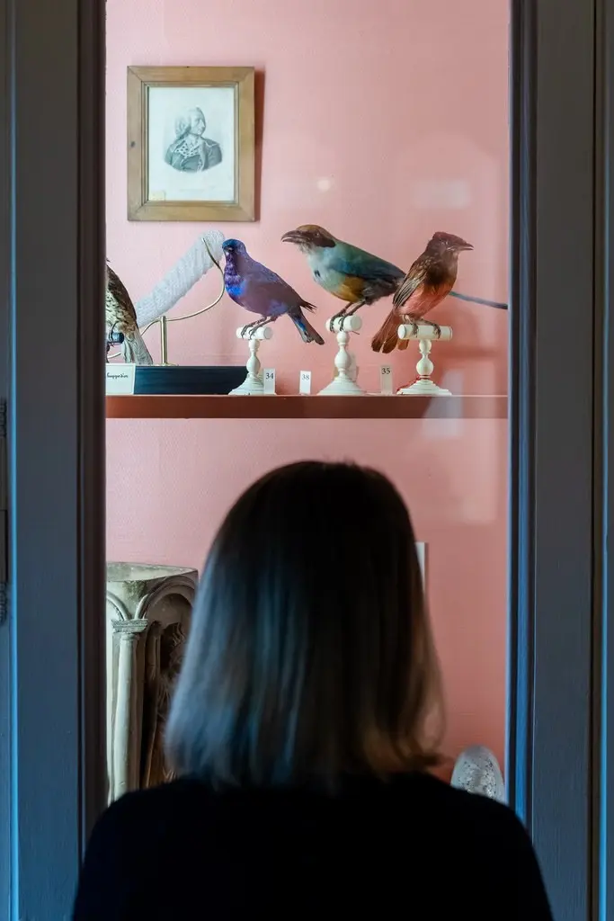 Les animaux du musée Flaubert