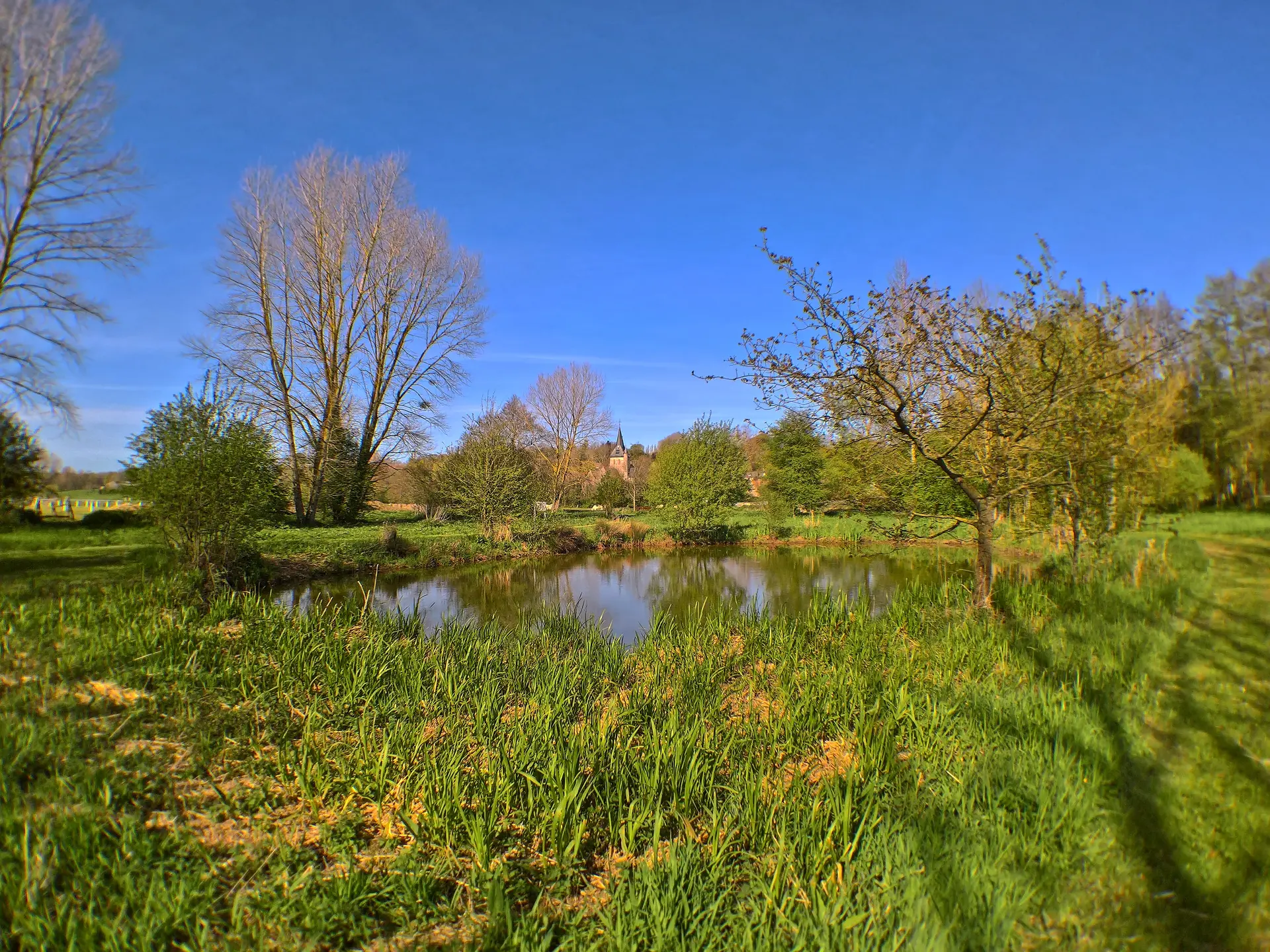 Nature : Marais de Longueil