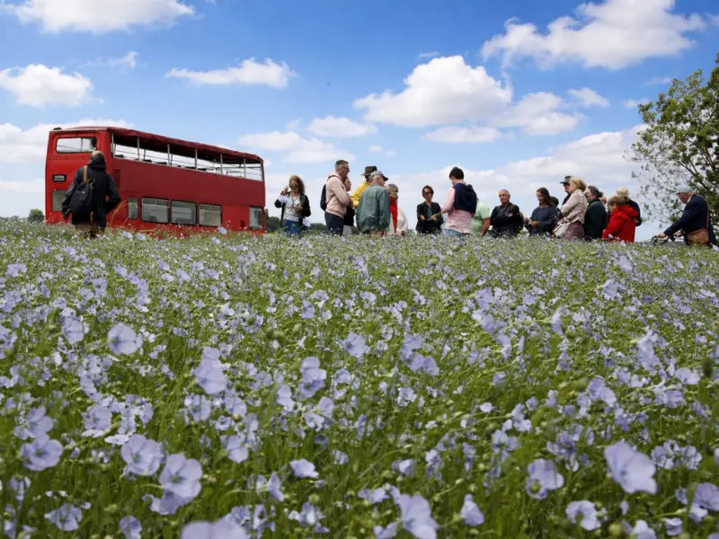 Merci d’avoir decouvert ma capitale avec moi !!! - 130
