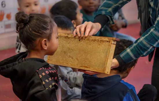 Le secret des abeilles