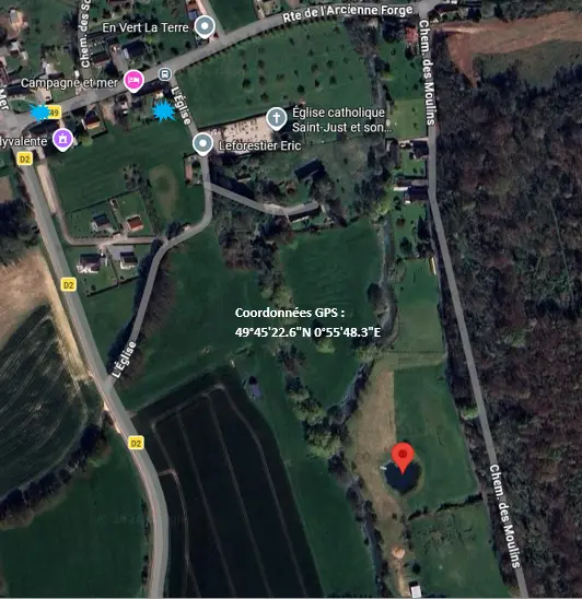 Plan A la rencontre des Amphibiens