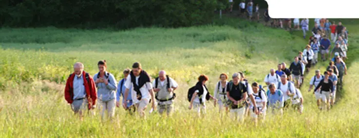 Randonnée pédestre - Campagne