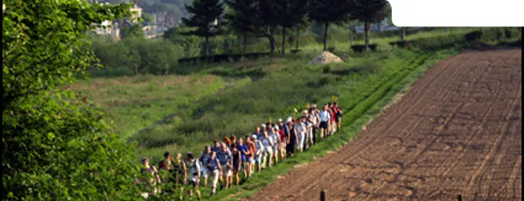 Randonnée pédestre - Campagne