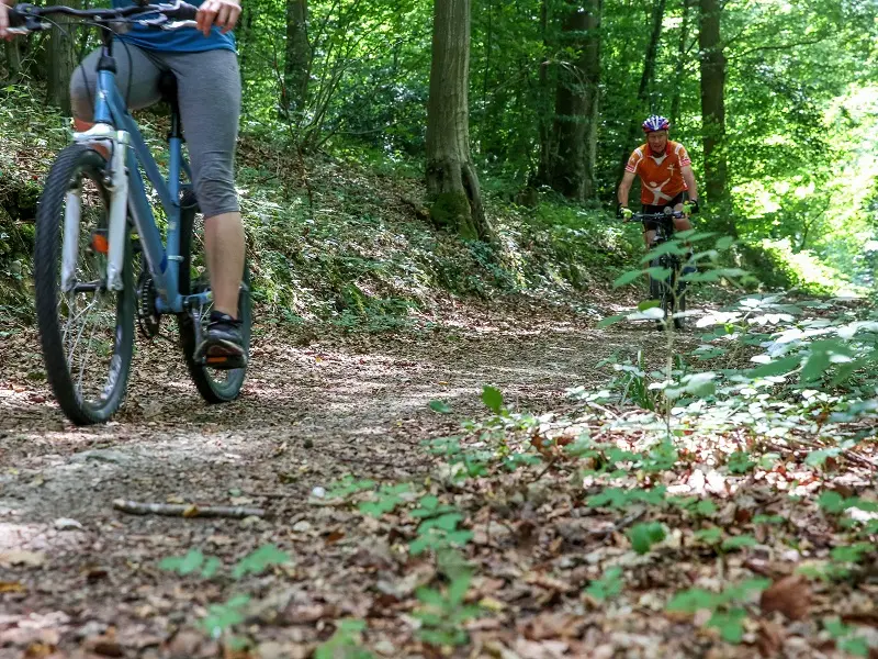 Randonnée à VTT