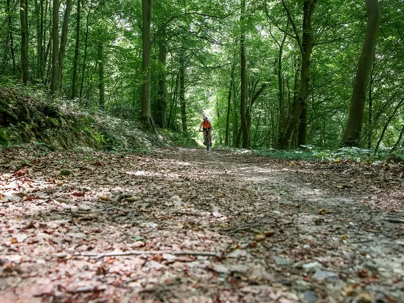 Randonnée VTT