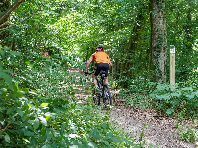 Randonnée Caux Vallée de Seine Caudebec-en-Caux VTT (12)