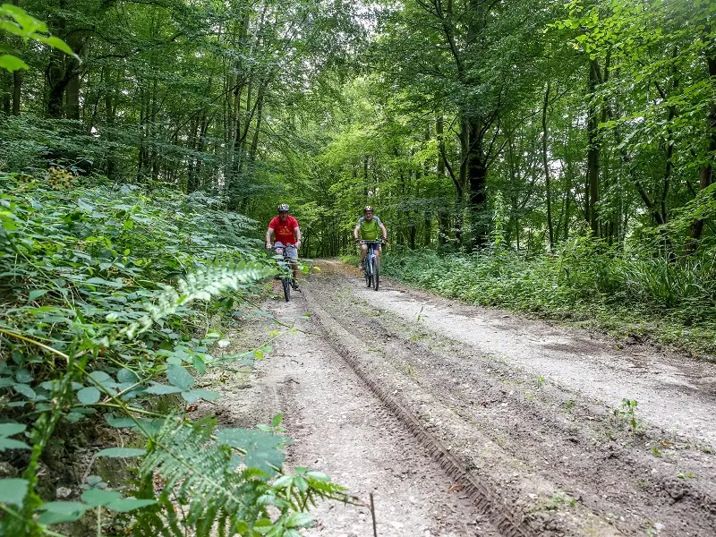Randonnée à VTT