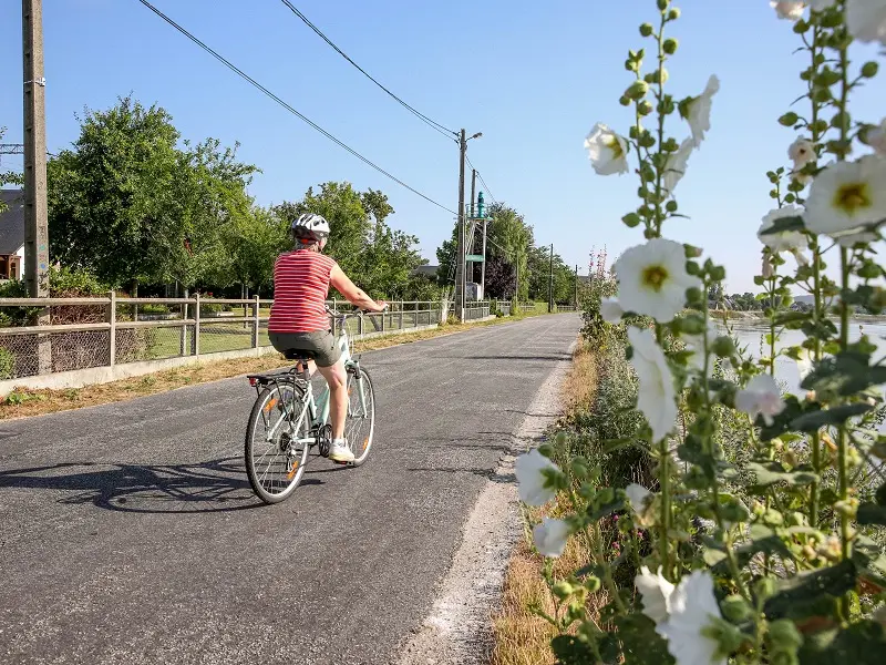 Randonnée Caux Vallée de Seine Circuit Cyclo La Mailleraye-sur-Seine Aurelaune-en-Seine  (13)