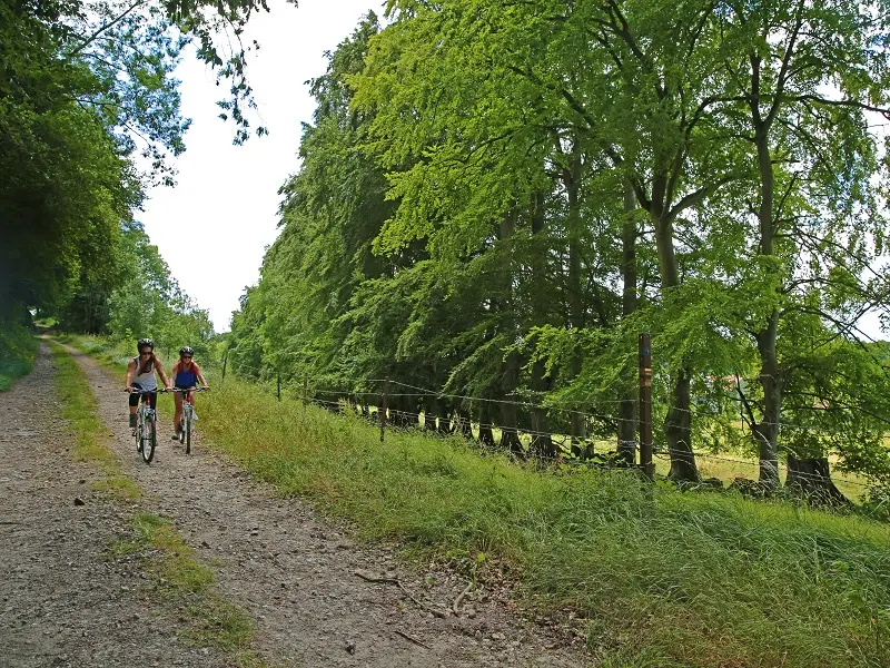 Randonnée Terroir de Caux Du chemin vert au chemin de fer (1)