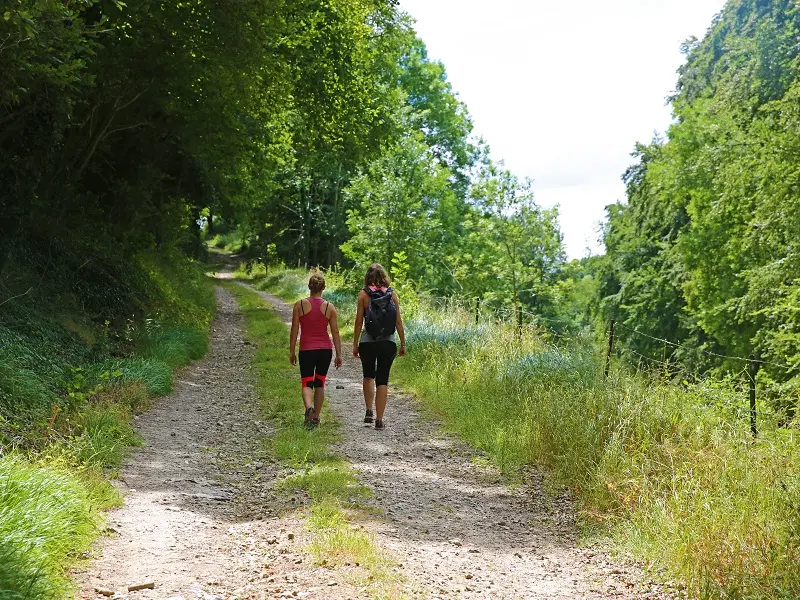 Randonnée Terroir de Caux Du chemin vert au chemin de fer (3)