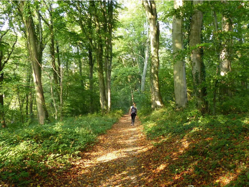 Randonnée Terroir de Caux Le Chemin des Frenettes