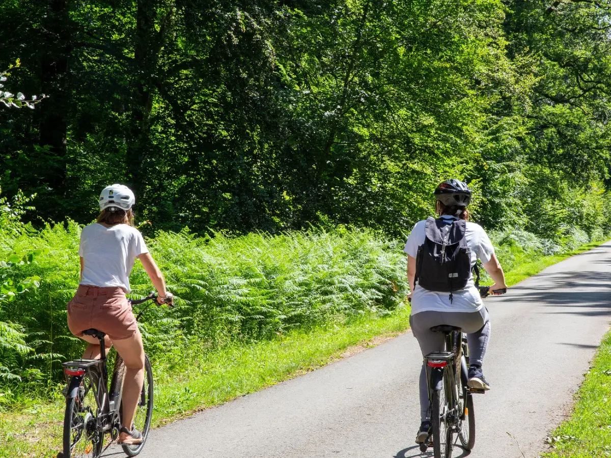 A vélo dans la forêt d'Eawy