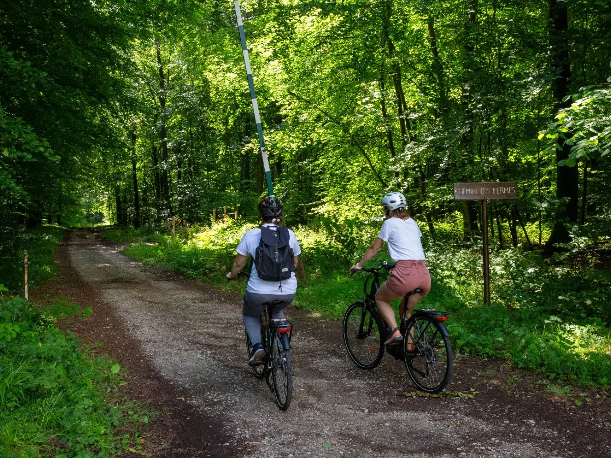 A vélo dans la forêt d'Eawy