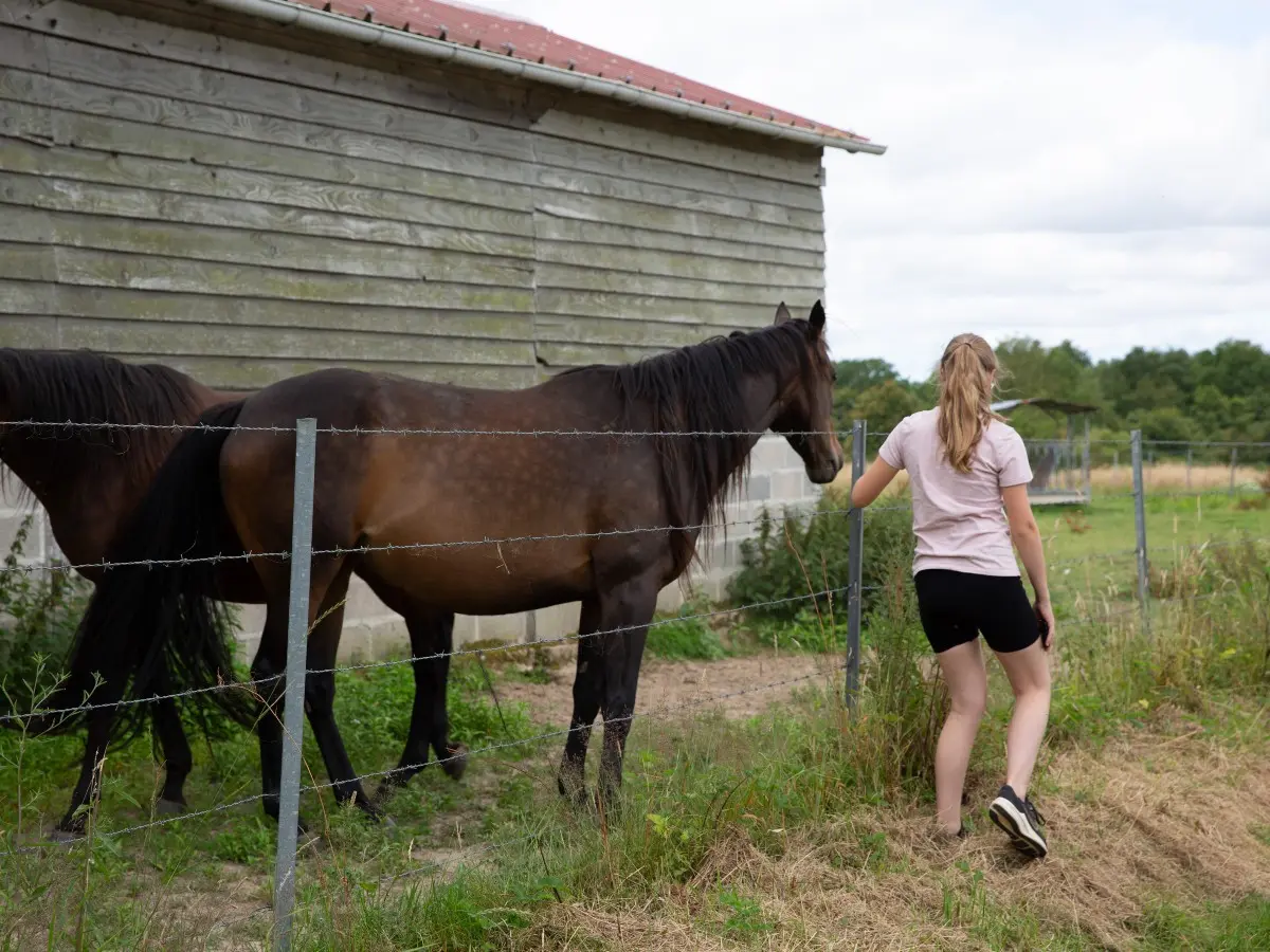 Rencontre dans le Pays de Caux