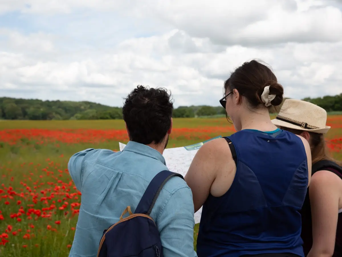 Parmi les coquelicots