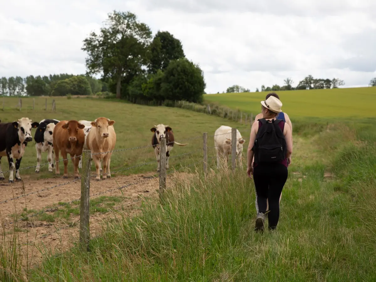 Sur les sentiers de la campagne cauchoise