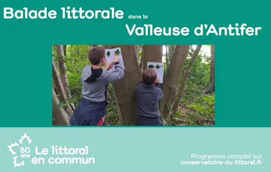 Rallye des familles - Balade littorale