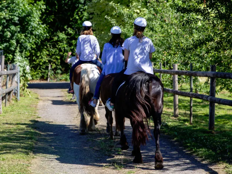 Reportage_équitation_V.DEBELS-106 800x600