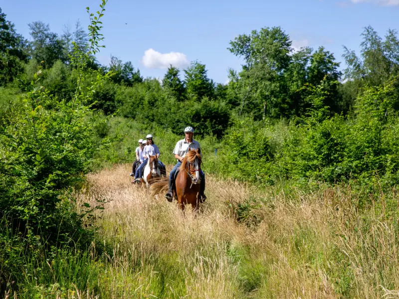 Reportage_équitation_V.DEBELS-118 800x600
