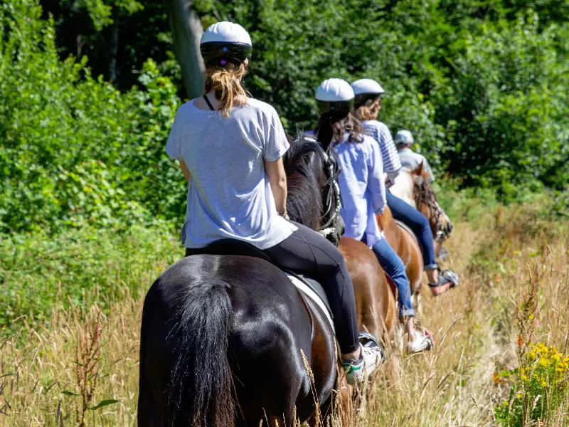 Reportage_équitation_V.DEBELS-124 800x600