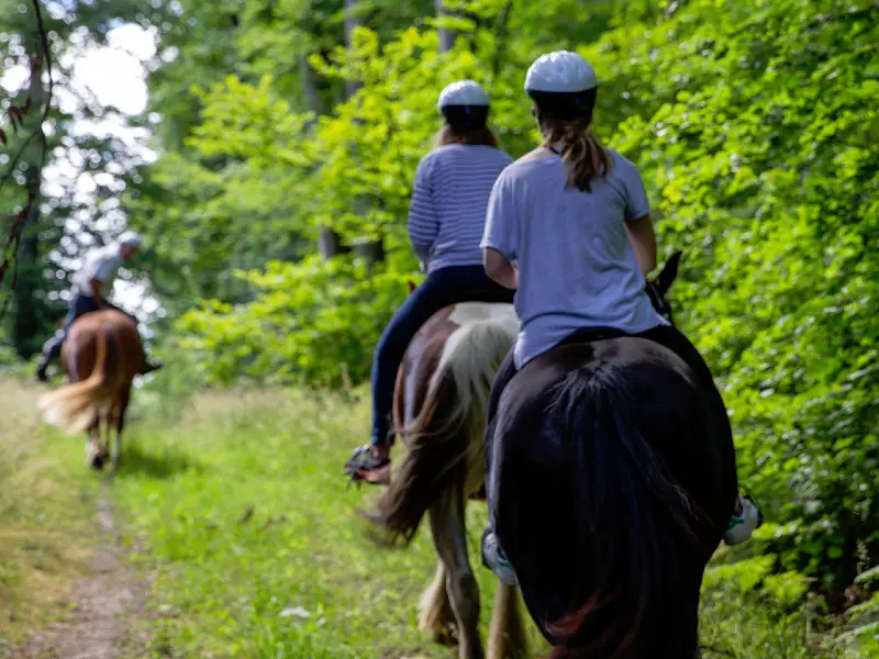 Reportage_équitation_V.DEBELS-137800x600