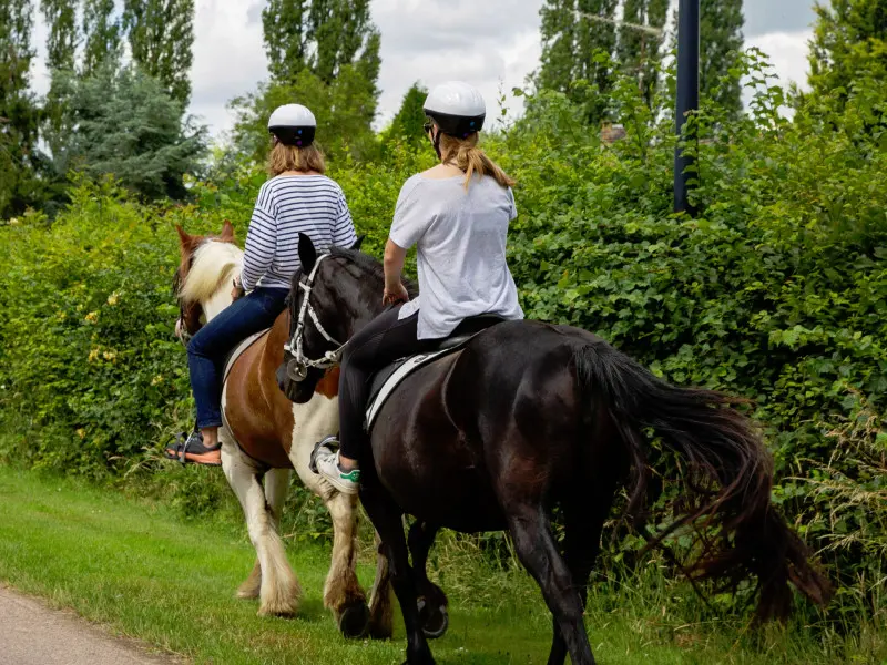 Reportage_équitation_V.DEBELS-143 800x600