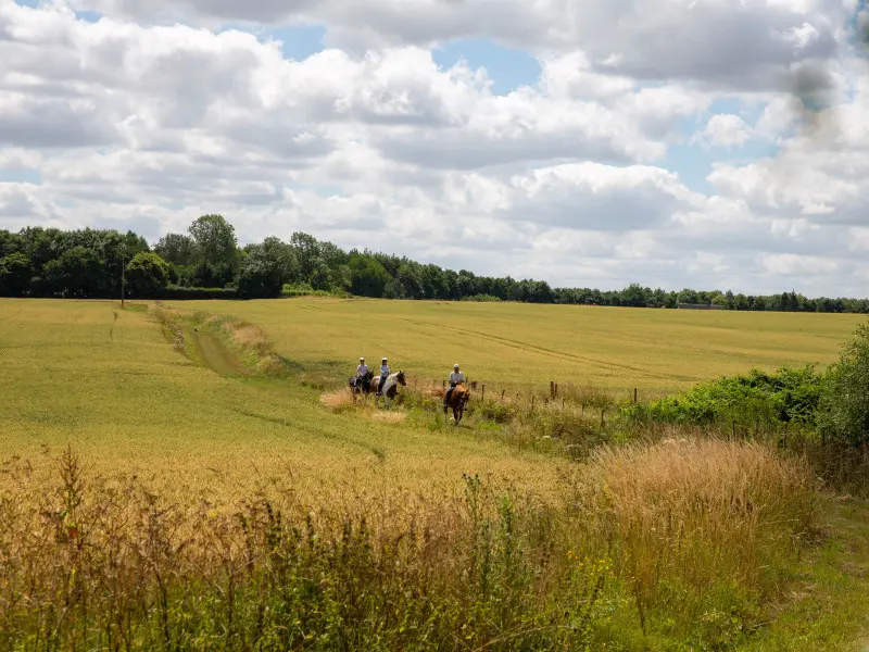 Reportage_équitation_V.DEBELS-164 800x600
