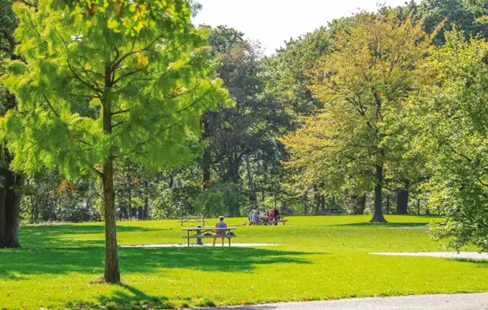 Parc Forrestier de Montgeon