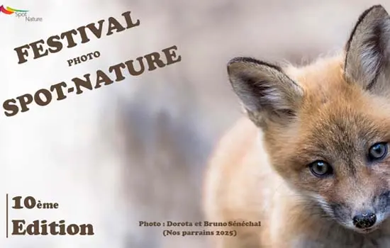 Festival Spot Nature