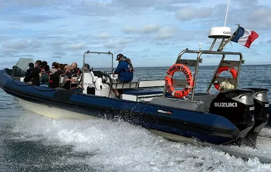 Visite des bassins