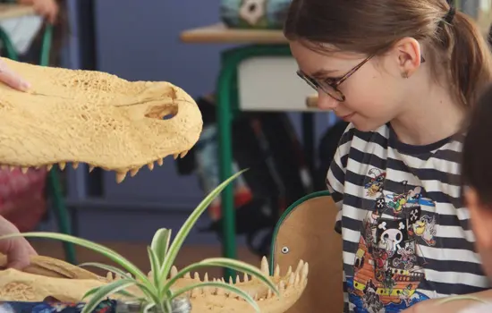 Atelier : Chacun ses goûts