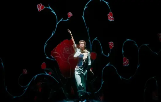 Le Petit Prince