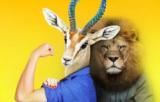 Girl power VS mâle alpha : le genre dans le règne animal