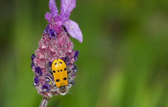Nature et biodiversité