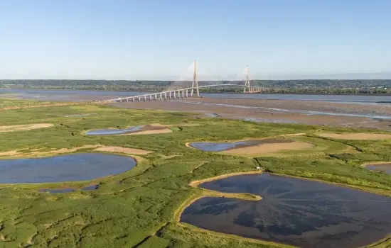 Réserve naturelle de l'estuaire de la Seine