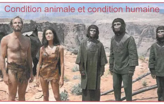 Condition animale et condition humaine