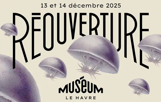 Réouverture Muséum